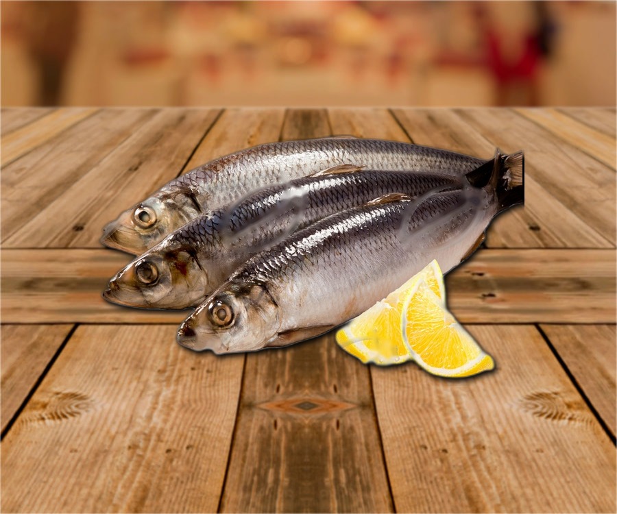 Herring (Clupea harengus), ungutted, with head, in brine, ~350g,