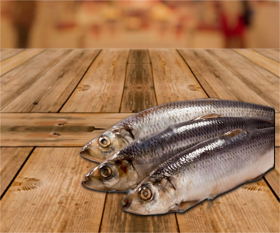 Herring (Clupea harengus), ungutted, with head, in brine, ~300g, (ATG 7000g)