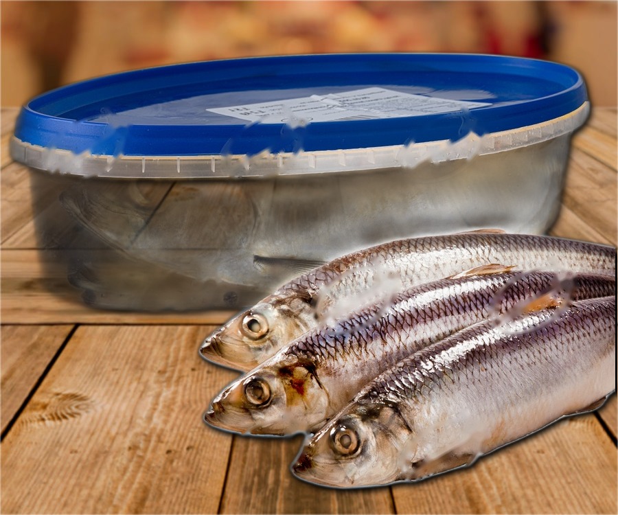 Herring (Clupea harengus), ungutted, with head, in brine, ~300g, (ATG 1200g)